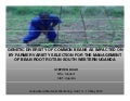 Genetic diversity of common beans as impacted on By farmer variety selection for the management Of bean root rots in south western uganda