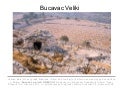 Bucavac