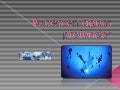 Buceo En Aguas Profundas