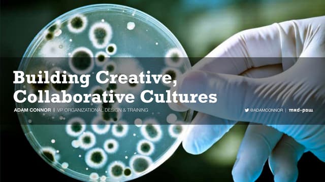 Building Creative, Collaborative Cu...