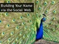 Building Your Name via the Social Web at indieconf 2011