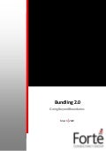 Bundling 2.0 - Going Beyond Boundaries