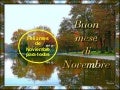 Feliz mes de Noviembre