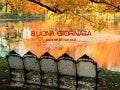 Buona Giornata (Spettacolare)