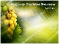Burgundy wine introduction
