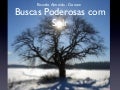 Buscas Poderosas Com Solr