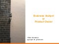 Business analyst or Product Owner