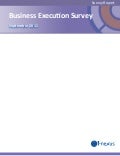 Business execution survey report