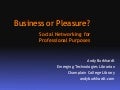 Business Or Pleasure