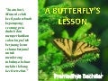 Butterfly&rsquo;s Lessons