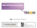 Voice of Brands 2011