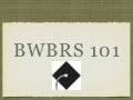 Bwbrs 101 student