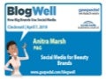 BlogWell Cincinnati Social Media Case Study: Procter & Gamble presented by Anitra Marsh