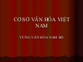 Cơ Sở VăN HóA ViệT Nam