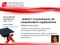Unidad 1: Caracterización del comportamiento organizacional