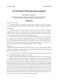 Cachalote FernáNdez Casado 3 22