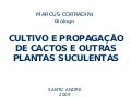 Cactos e Suculentas