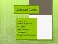 Calcium cycle