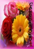Calendari 2011