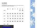 Calendar visual