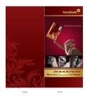 Cam nang su_dung_the_visa_platinum