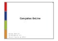 Campaña Online