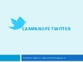 Despre campaniile pe Twitter