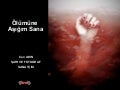 SAIR CAN AKIN – ASK – SENI SEVIYORUM – SIIR KITABI – SIIR - 080 - Ölümüne Aşığım Sana 