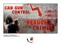 Can Gun Control Reduce Crime - Infographic PDF
