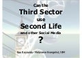Can The Third Sector Use Second Life   Roo Reynolds