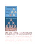 Cancer y tumor 