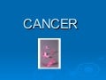 Cancer