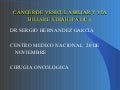 Cancer de vesicula 2