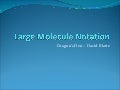Canonical Models for Large Molecules