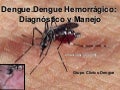 Capacitación dengue 20 09-2006