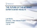 The Impact of the Internet on Institutions in the Future