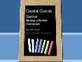 Capital goods sector
