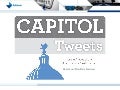 Capitol Tweets: Yeas and Nays of the Congressional Twitterverse