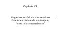Capitulo 45