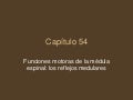 Capitulo 54