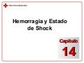 CapíTulo 14   Hemorragia Y Estado De Shock