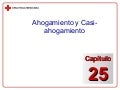 Ahogamiento Y Casi Ahogamiento