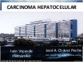 Carcinoma hepatocelular