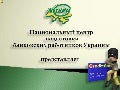 Card business security 
