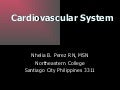 Cardiovascular System