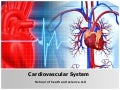CVS Embryology (Amoud University)