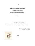 Carousel syllabus