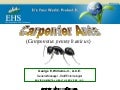 How To Get Rid of Carpenter Ants