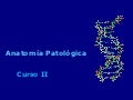 Carrera de técnico en Anatomía Patológica- Curso II -2013