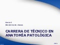 Carrera de técnico en Anatomía Patológica - 2013